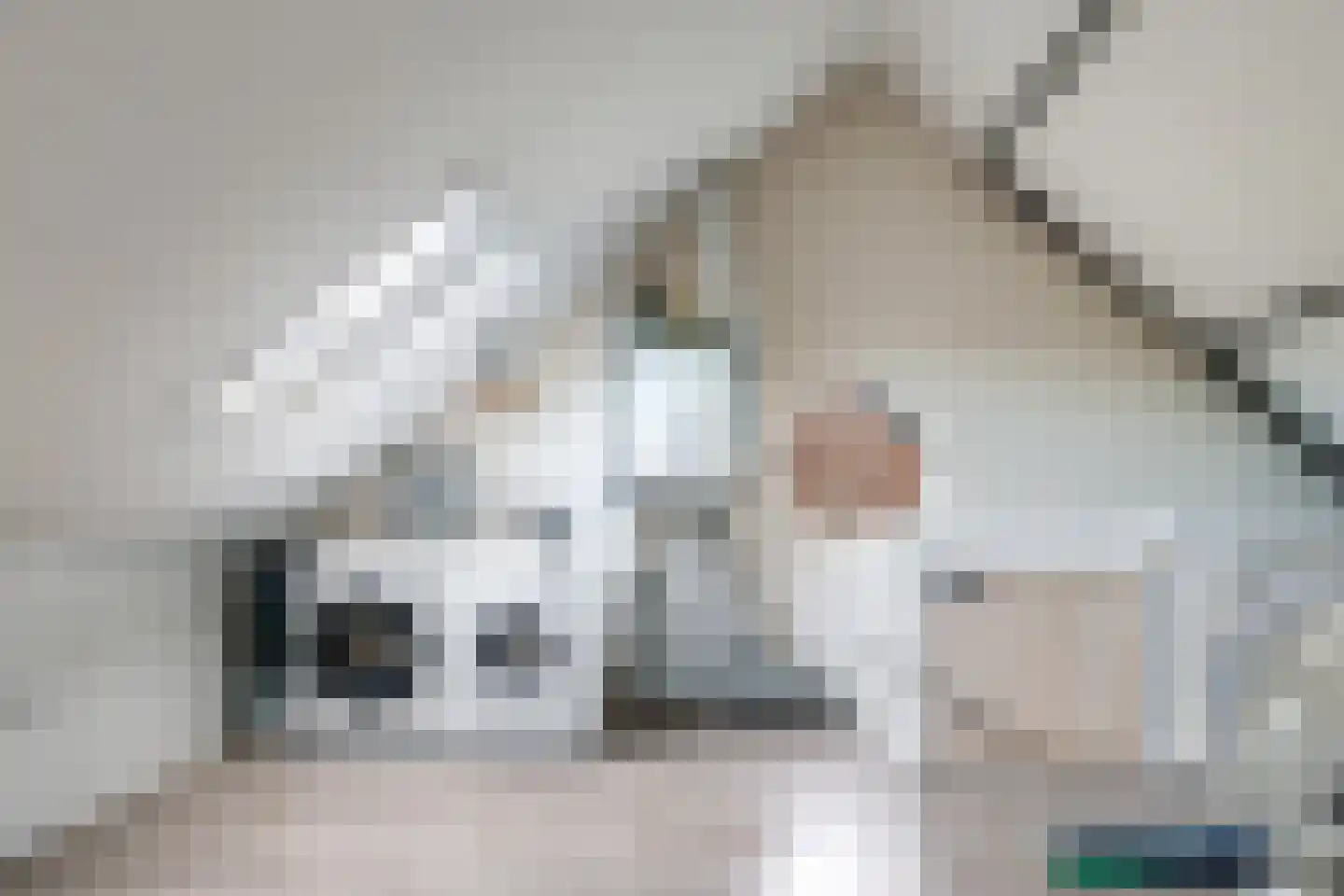 De Wettering 8 Zetten thumbnail 46