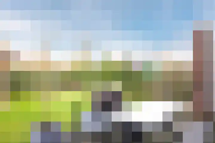 De Wettering 8 Zetten thumbnail 53
