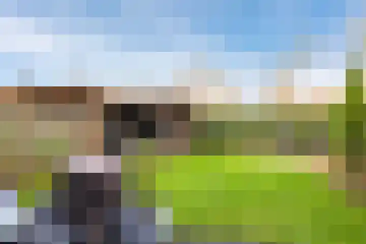 De Wettering 8 Zetten thumbnail 54