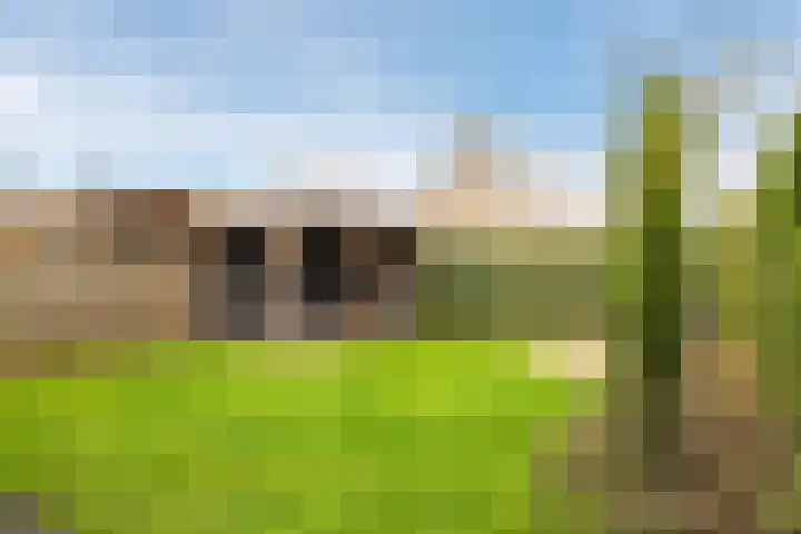 De Wettering 8 Zetten thumbnail 55