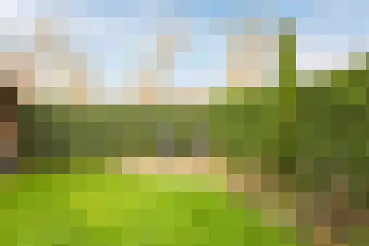 De Wettering 8 Zetten thumbnail 56