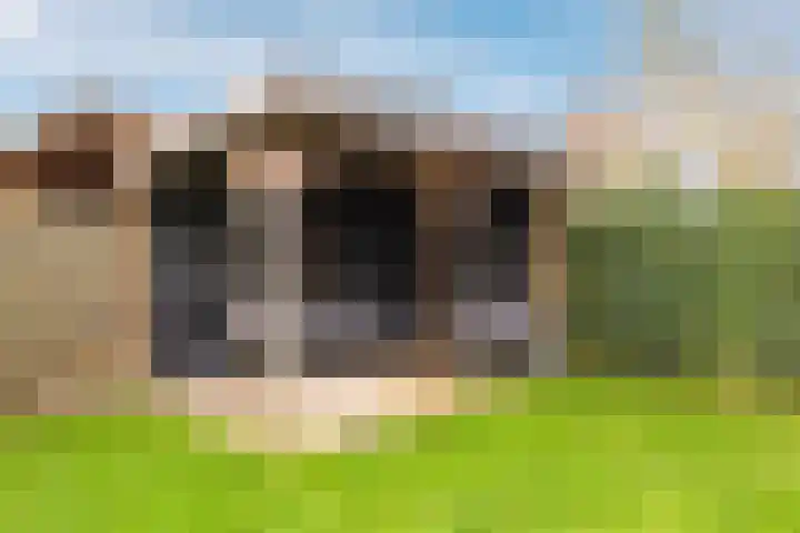De Wettering 8 Zetten thumbnail 57
