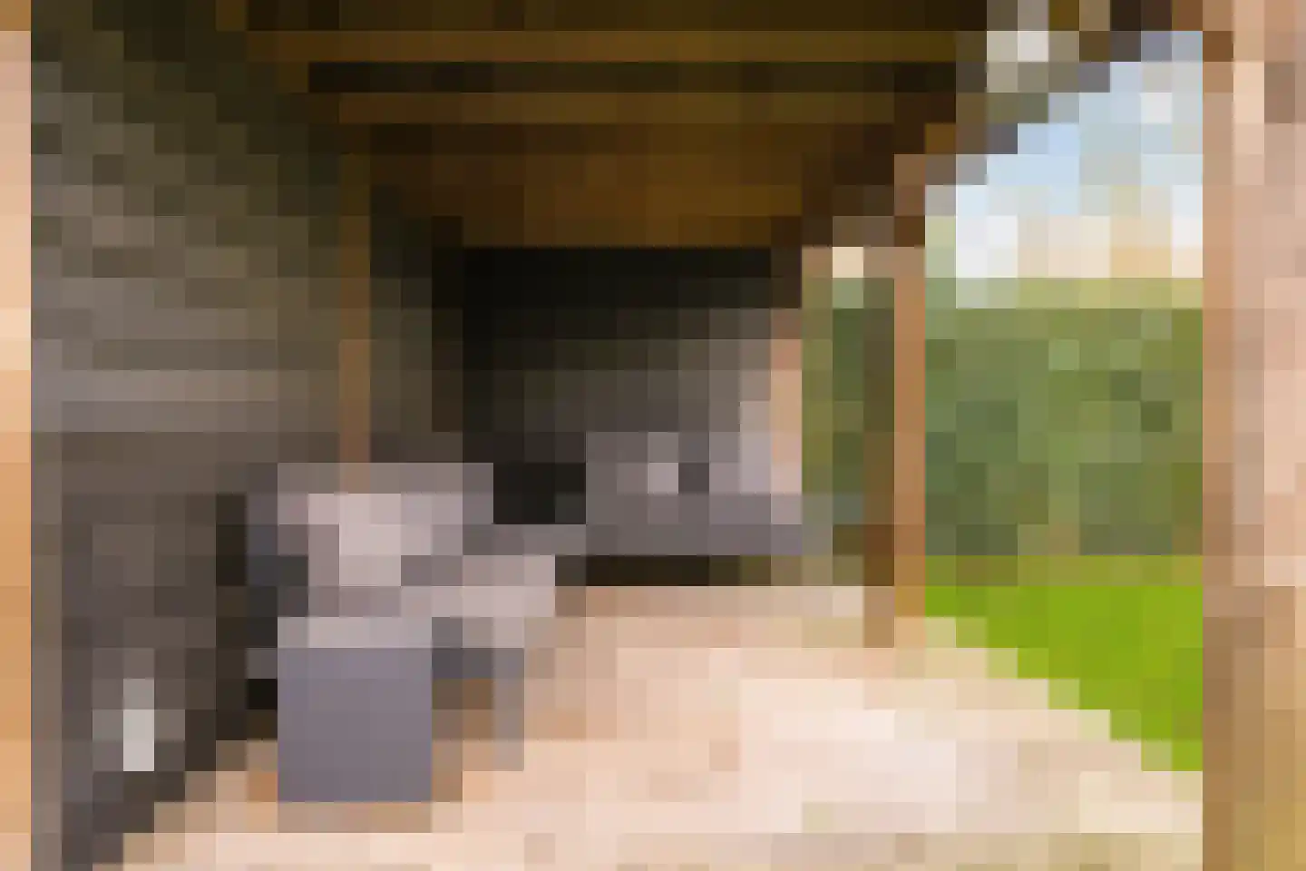 De Wettering 8 Zetten thumbnail 58