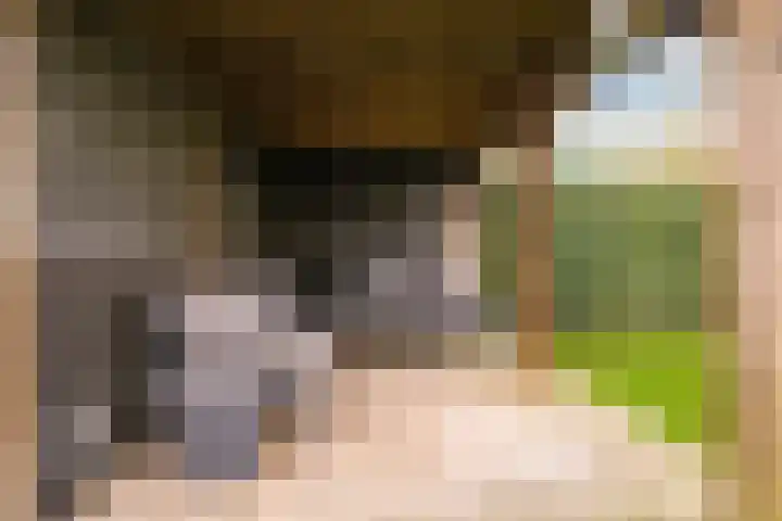 De Wettering 8 Zetten thumbnail 58