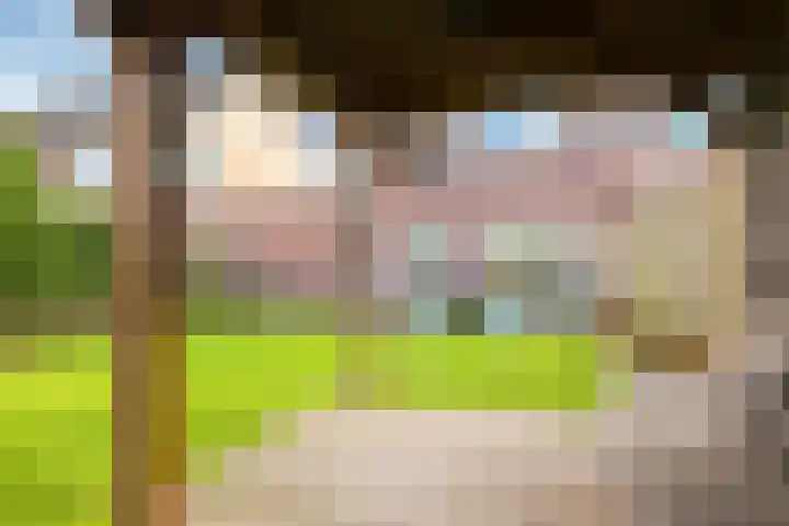 De Wettering 8 Zetten thumbnail 59