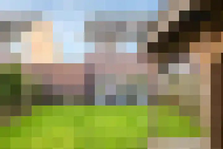 De Wettering 8 Zetten thumbnail 60