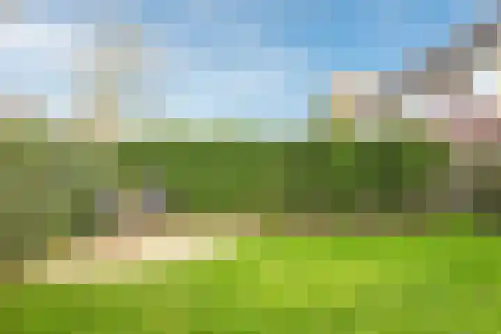 De Wettering 8 Zetten thumbnail 62