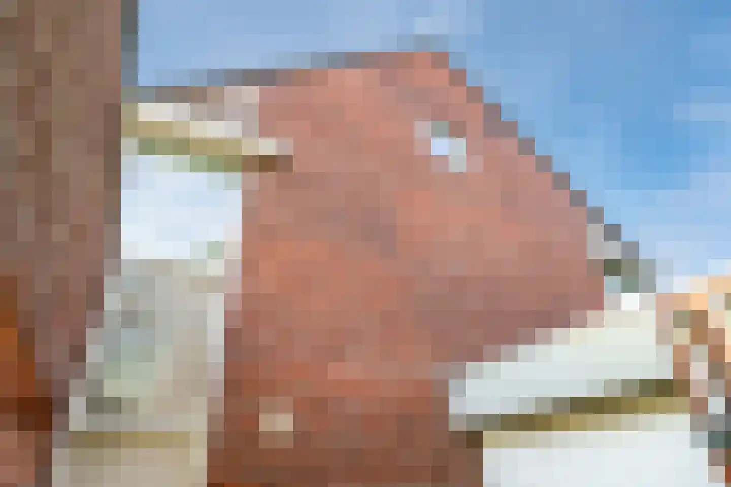 De Wettering 8 Zetten thumbnail 66