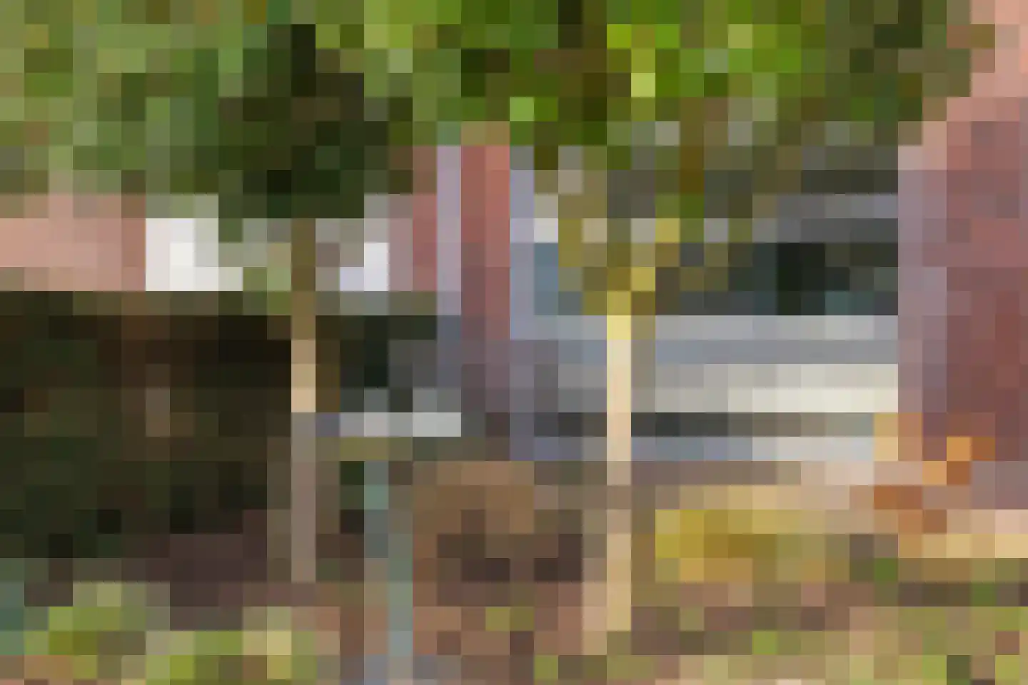 De Wettering 8 Zetten thumbnail 68