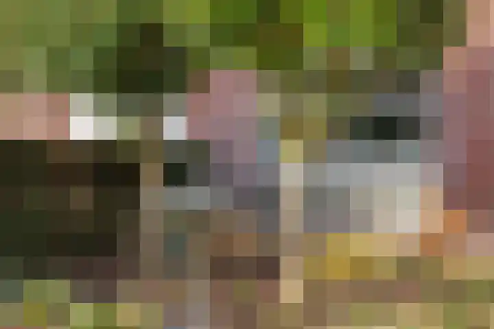 De Wettering 8 Zetten thumbnail 68