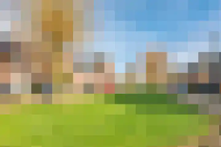 De Wettering 8 Zetten thumbnail 75
