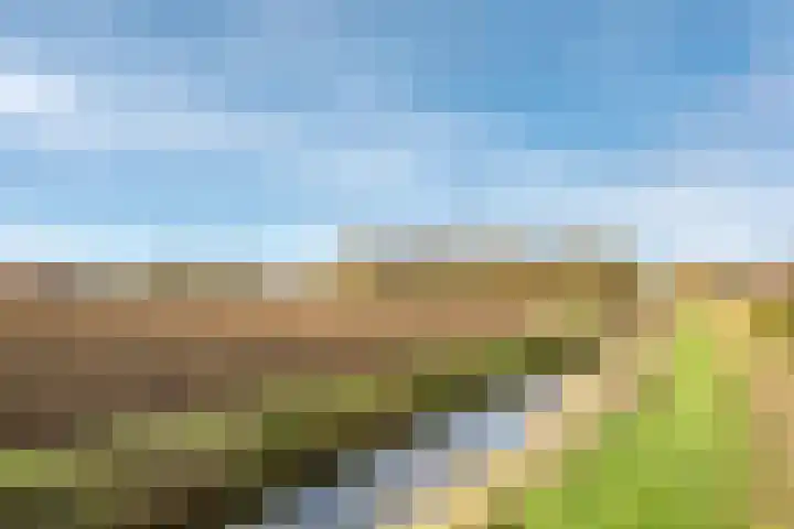 De Wettering 8 Zetten thumbnail 77
