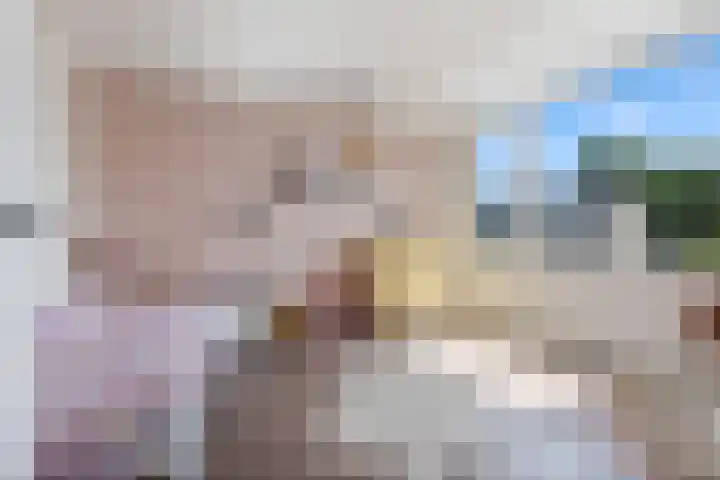 De Wetterkamp 34 Joure thumbnail 29