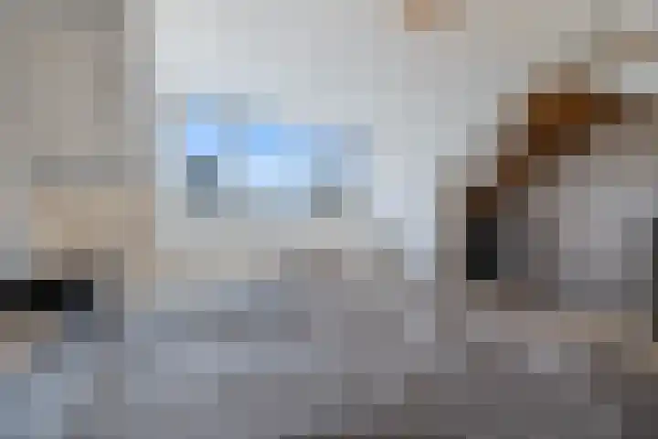 De Wetterkamp 34 Joure thumbnail 35