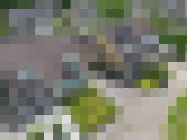 De Wetterkamp 34 Joure thumbnail 42