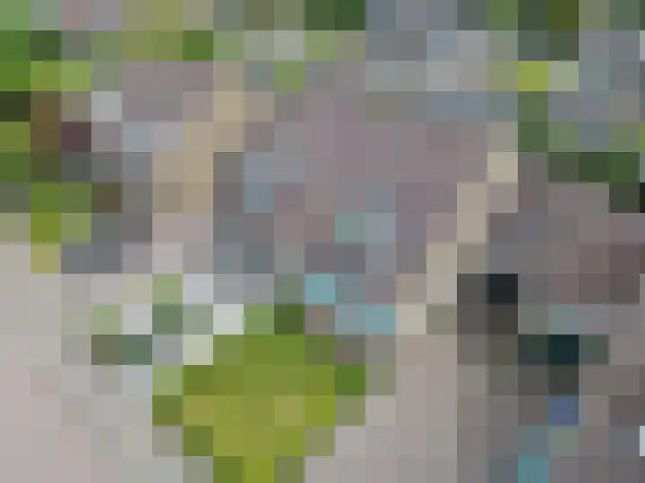 De Wetterkamp 34 Joure thumbnail 43