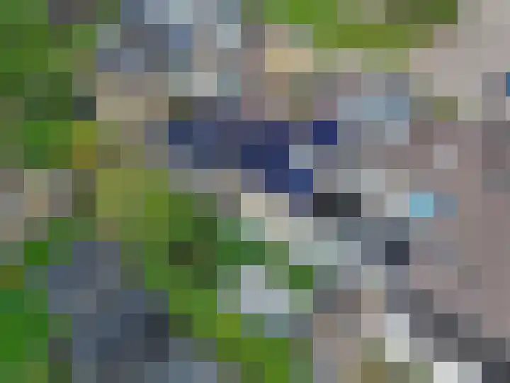 De Wetterkamp 34 Joure thumbnail 45