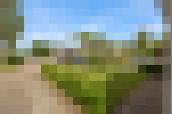 De Wetterkamp 34 Joure thumbnail 9