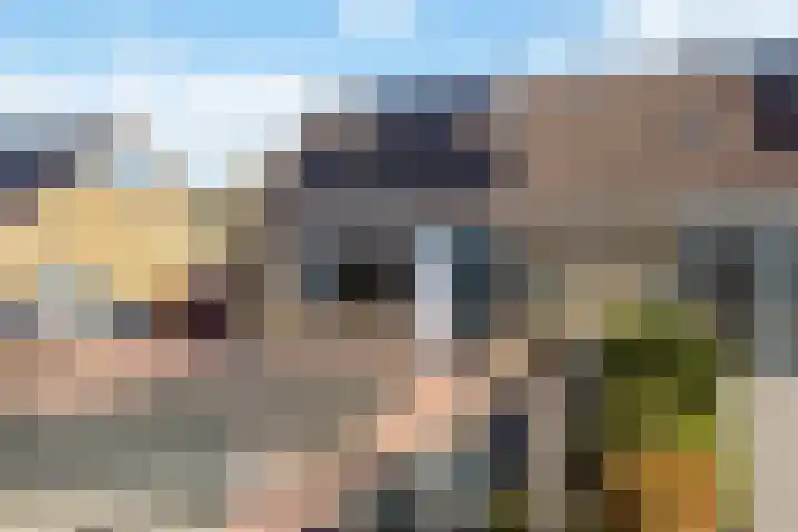 De Wetterkamp 47 Joure thumbnail 4