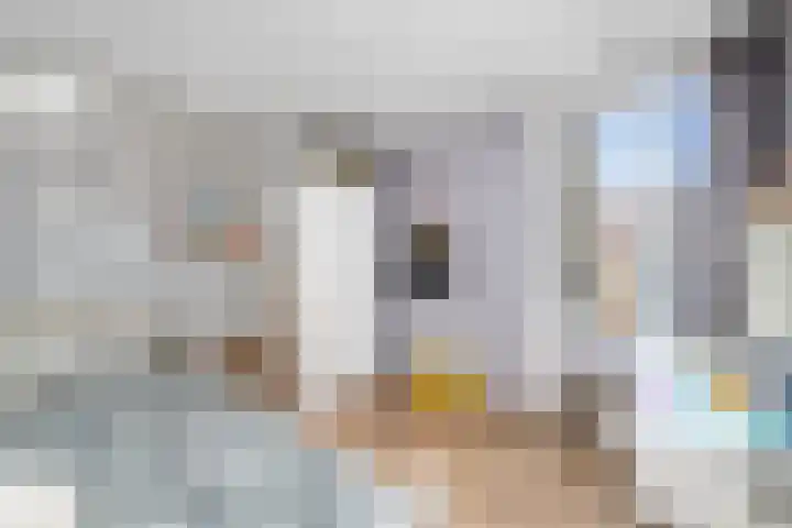 De Wetterkamp 56 Joure thumbnail 15