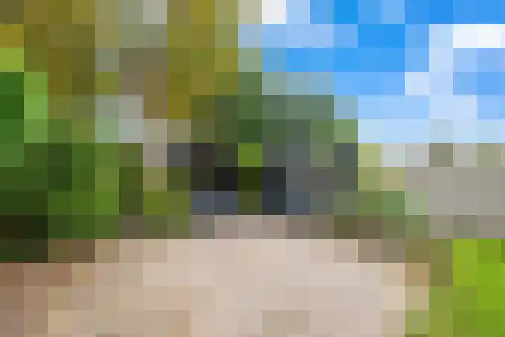 De Wetterkamp 56 Joure thumbnail 24