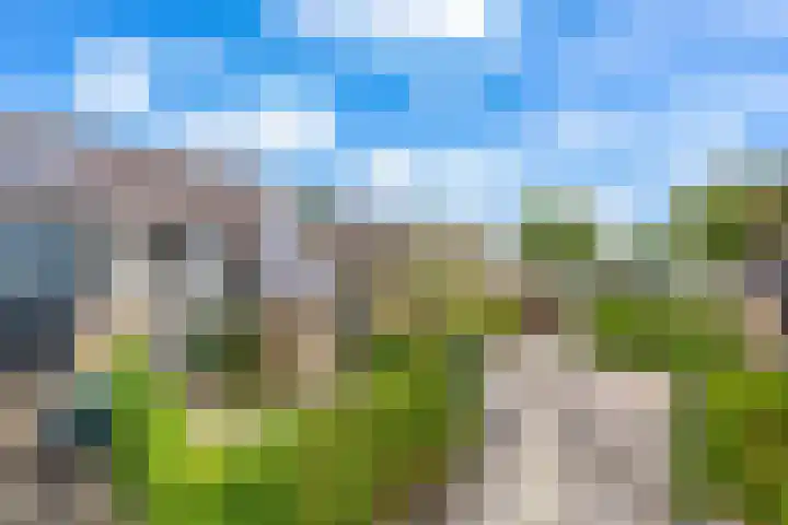 De Wetterkamp 56 Joure thumbnail 28