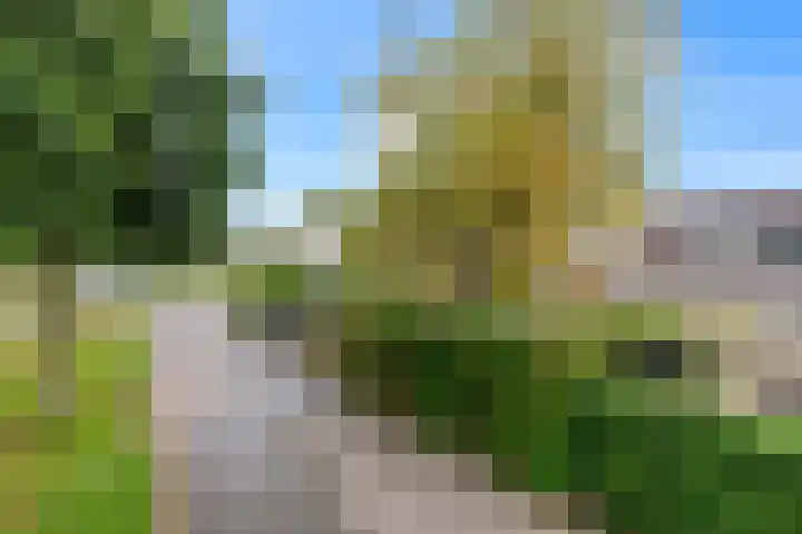 De Wetterkamp 56 Joure thumbnail 30