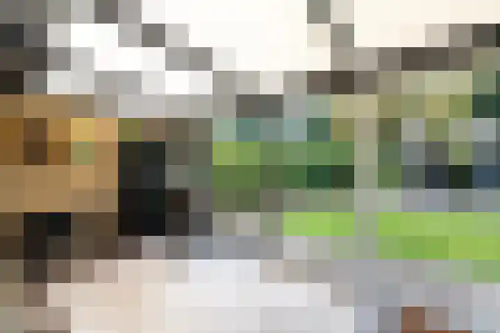 De Wetterkamp 56 Joure thumbnail 5