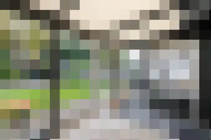 De Wetterkamp 56 Joure thumbnail 6