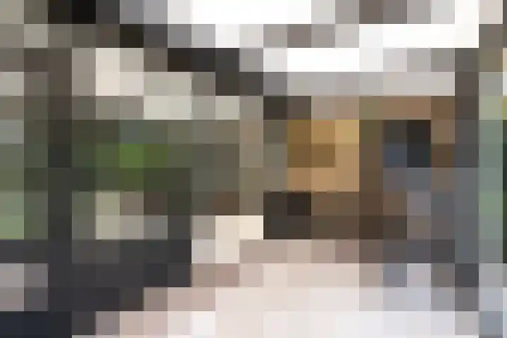 De Wetterkamp 56 Joure thumbnail 7
