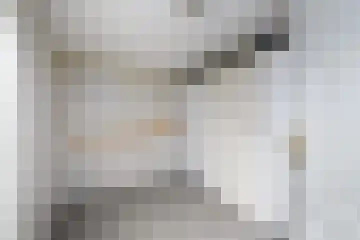 De Wetterkamp 7 Joure thumbnail 10