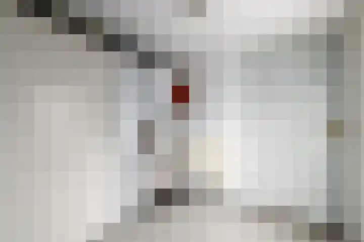 De Wetterkamp 7 Joure thumbnail 11