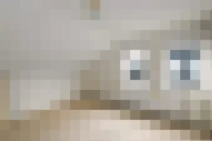 De Wetterkamp 7 Joure thumbnail 18