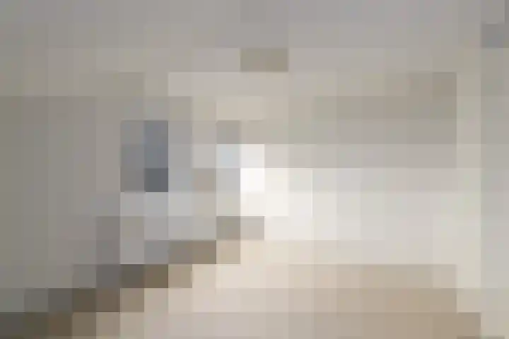 De Wetterkamp 7 Joure thumbnail 19