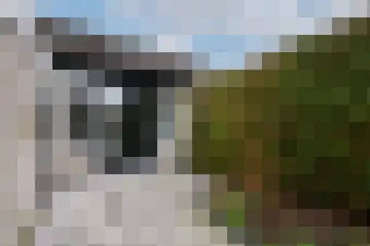 De Wetterkamp 7 Joure thumbnail 33