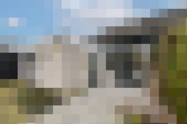 De Wetterkamp 7 Joure thumbnail 34