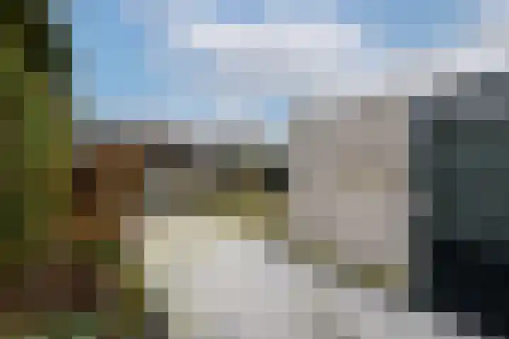 De Wetterkamp 7 Joure thumbnail 35