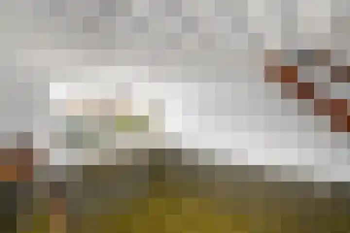 De Wetterkamp 7 Joure thumbnail 4