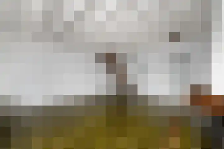 De Wetterkamp 7 Joure thumbnail 5
