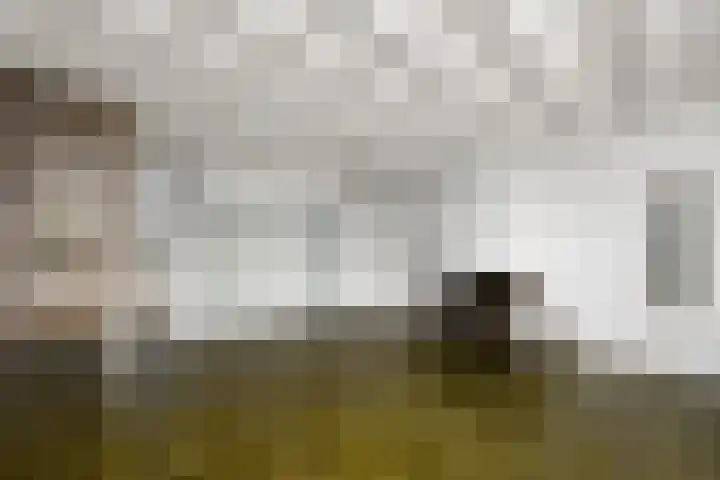 De Wetterkamp 7 Joure thumbnail 6