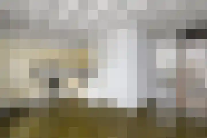 De Wetterkamp 7 Joure thumbnail 7