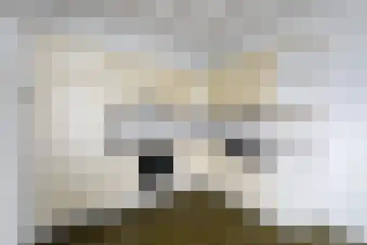 De Wetterkamp 7 Joure thumbnail 8