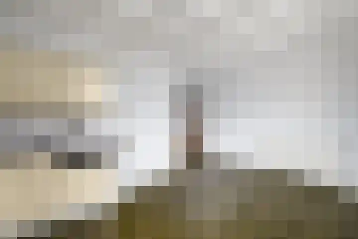 De Wetterkamp 7 Joure thumbnail 9