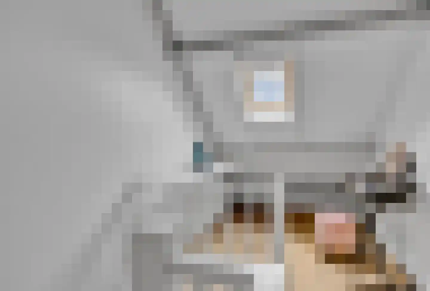 De Wetterkamp 78 Joure thumbnail 29