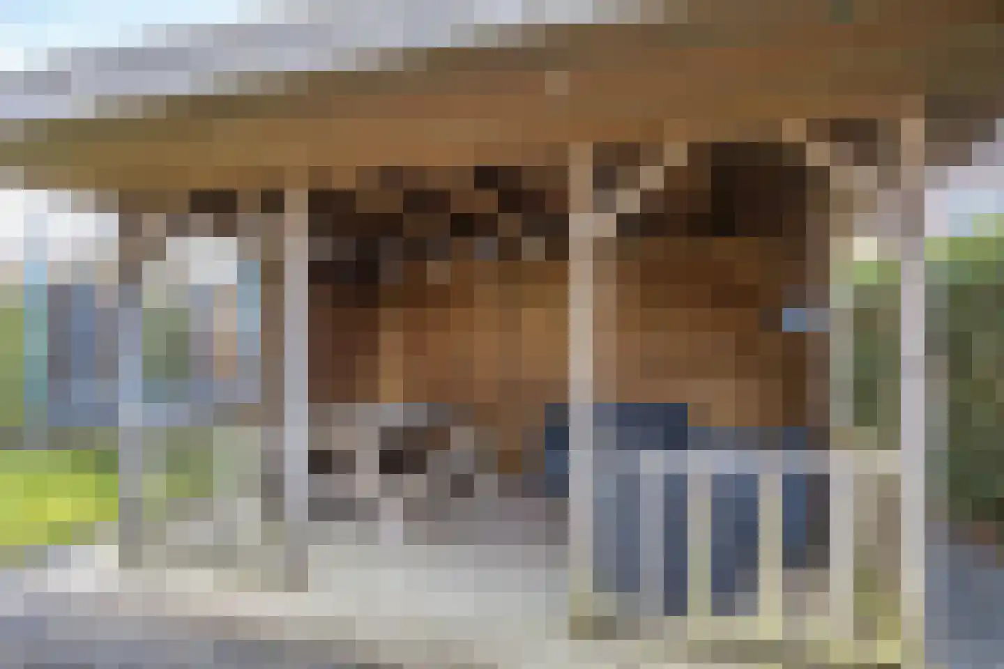 De Wetterkamp 78 Joure thumbnail 35