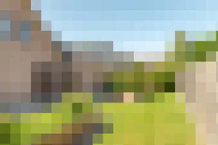 De Wetterwille 102 Drachten thumbnail 13