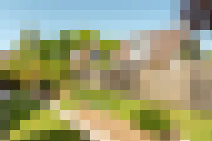 De Wetterwille 102 Drachten thumbnail 4