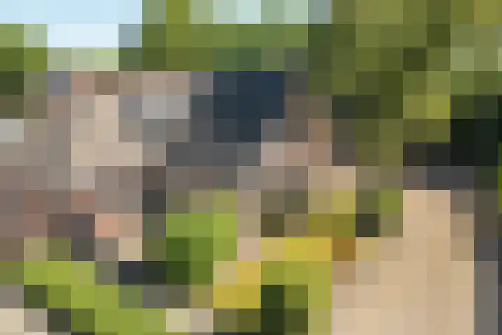De Wetterwille 102 Drachten thumbnail 5