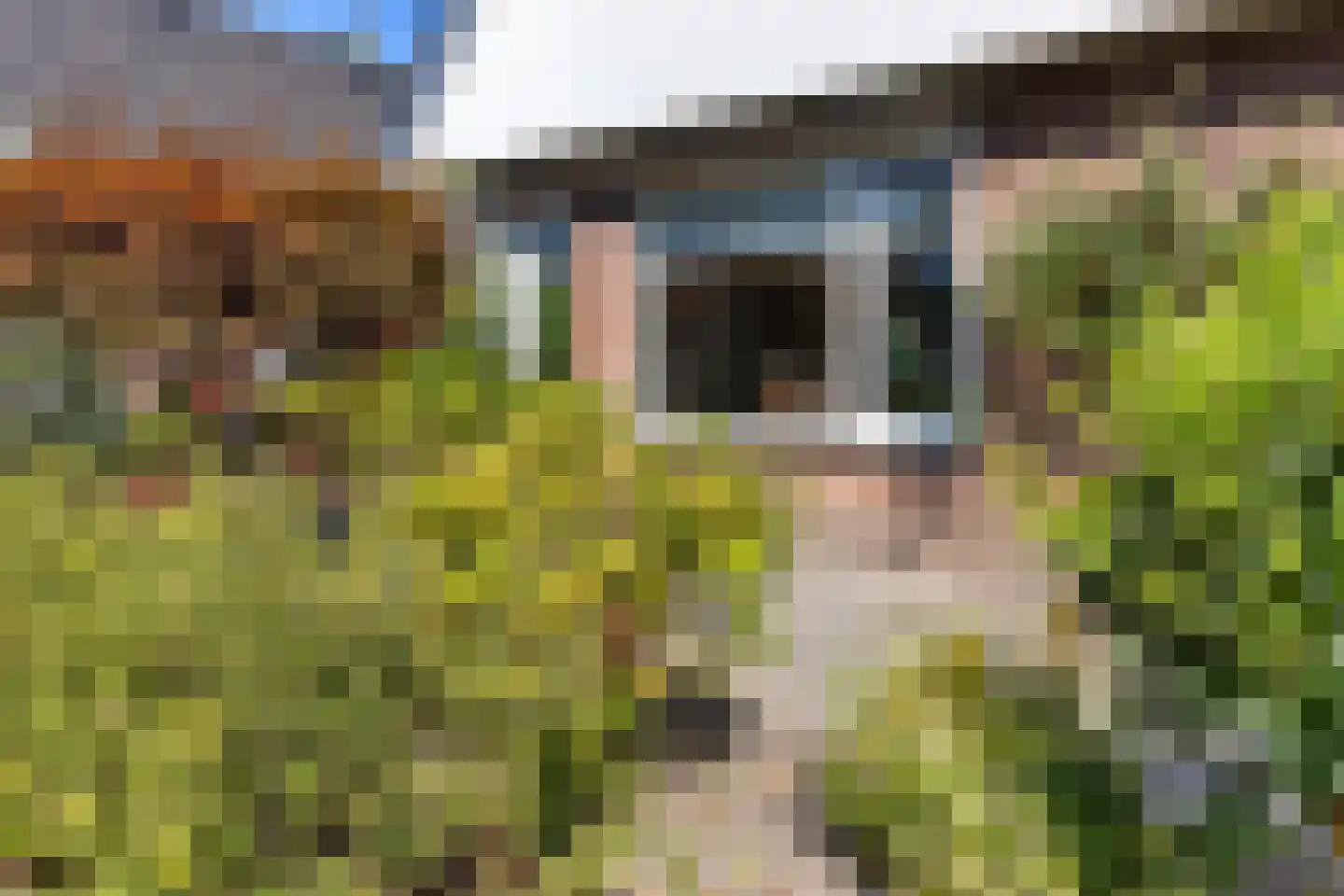 De Wetterwille 104 Drachten thumbnail 40