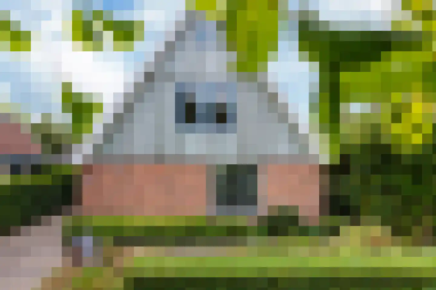 De Wetterwille 118 Drachten thumbnail 38